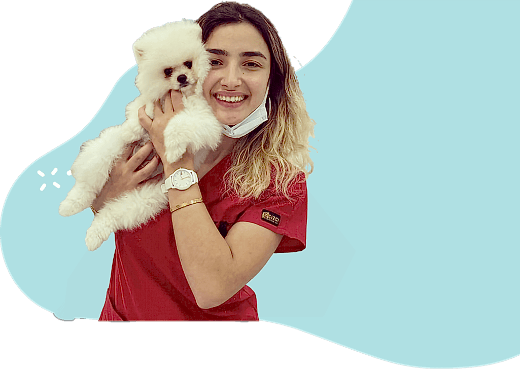 https://multispln.com/wp-content/uploads/2022/12/burcu-pet-otel-iletisim.png